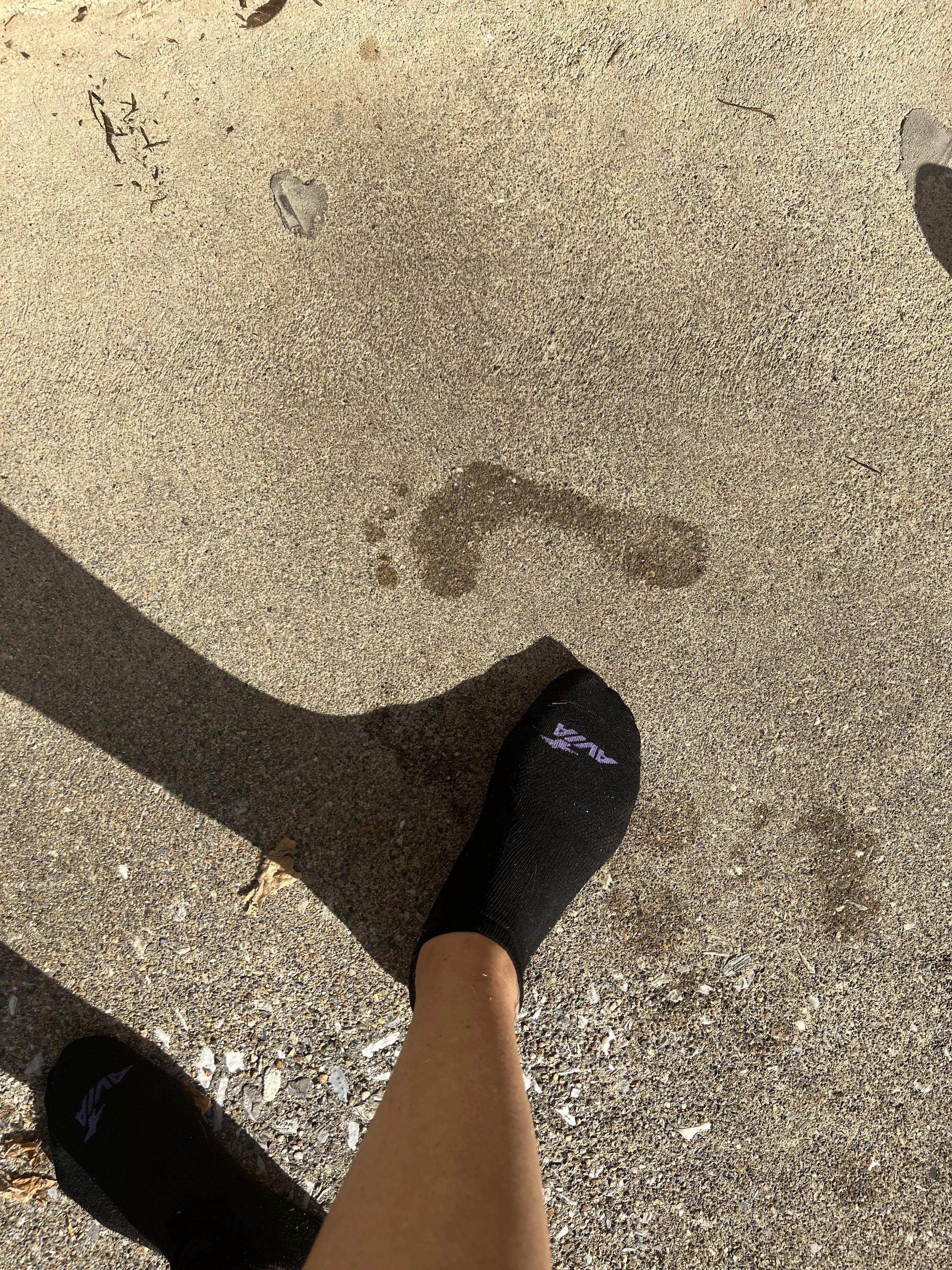 Leaving my mark after farm chores 🤭