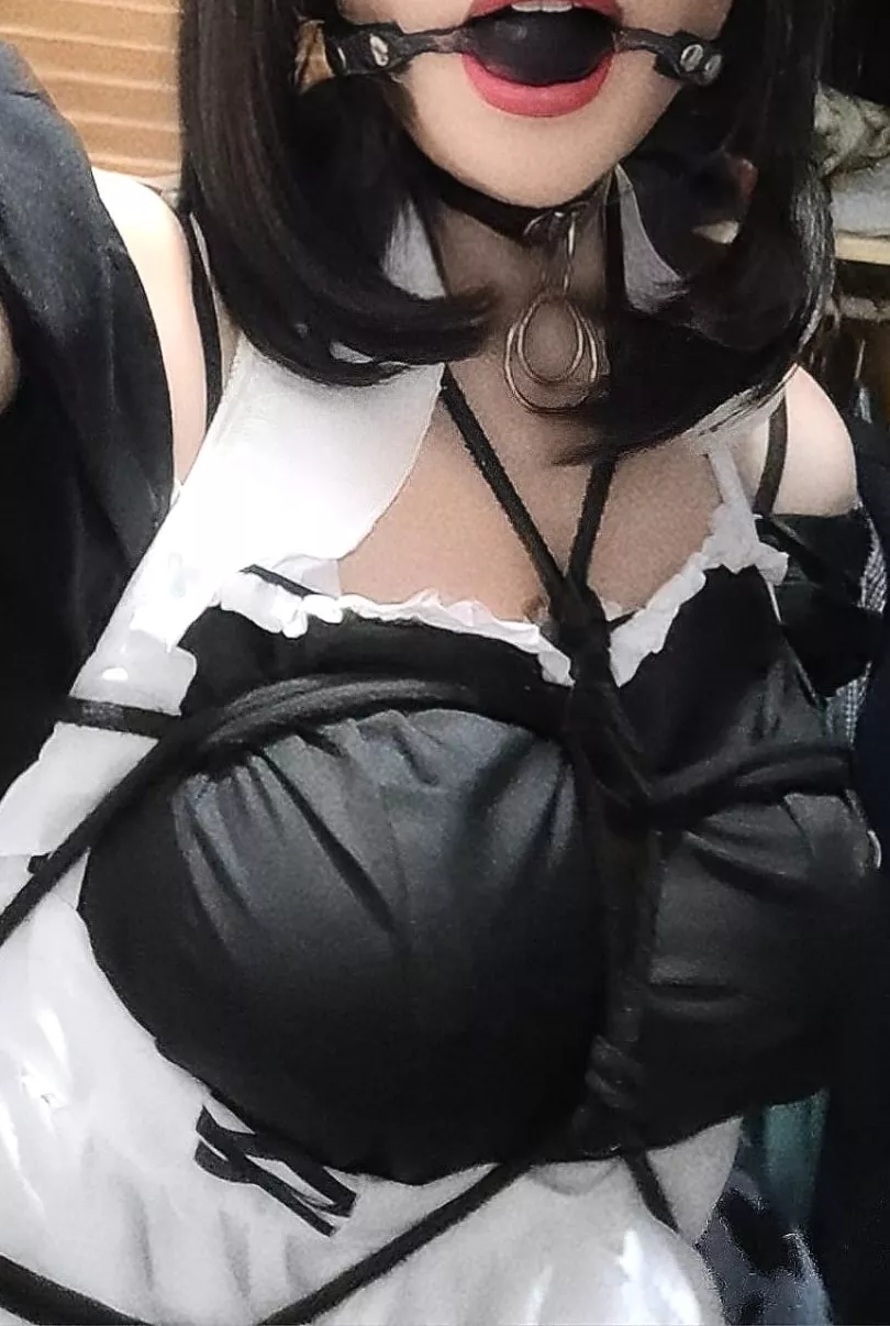 Prepared to greet master after work - Because a proper greeting isnt done with words