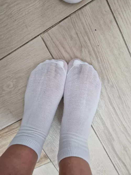 Seethrough socks [F]