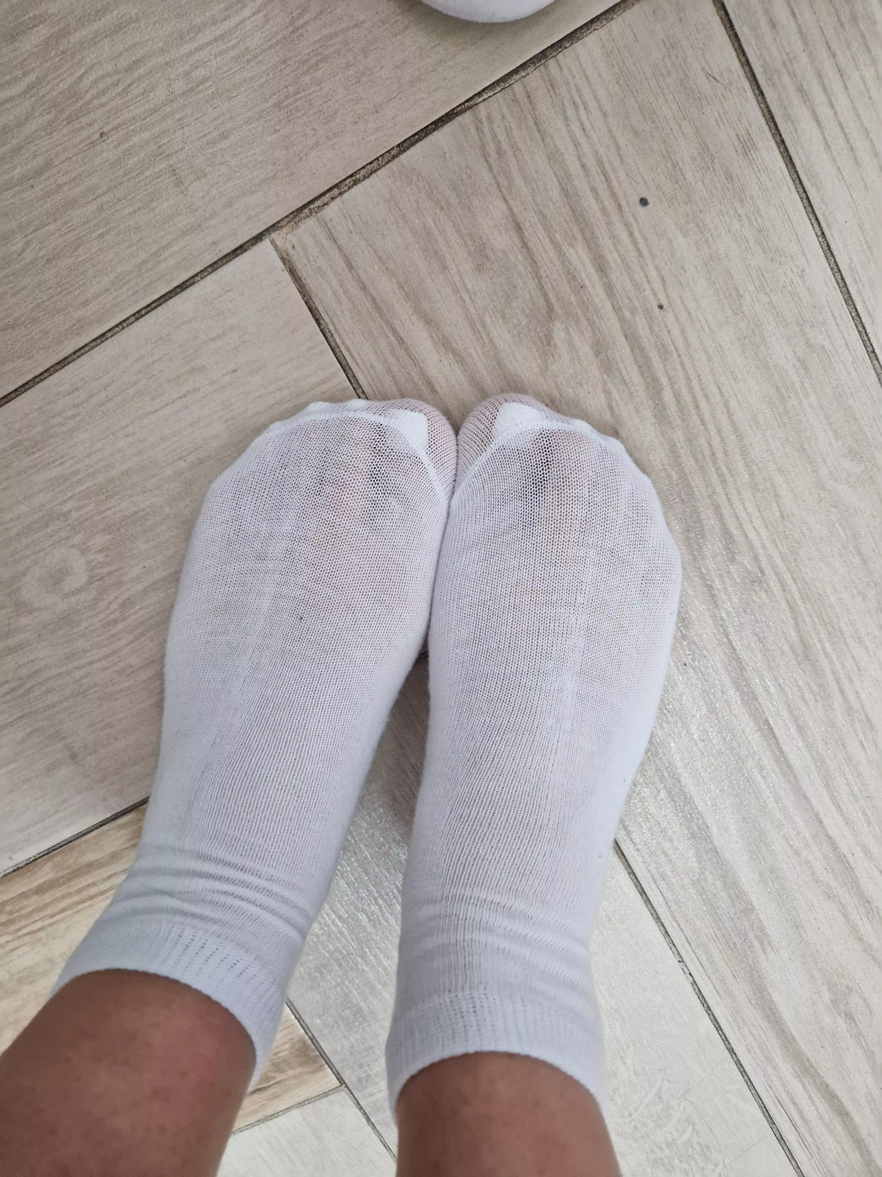 Seethrough socks [F]