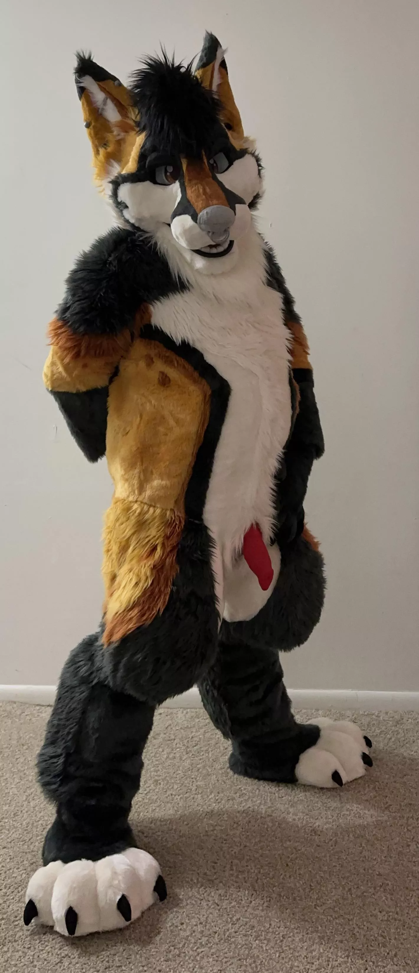 This fox is a little pent up after Furrydelphia