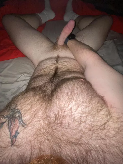 Who wants to cuddle??