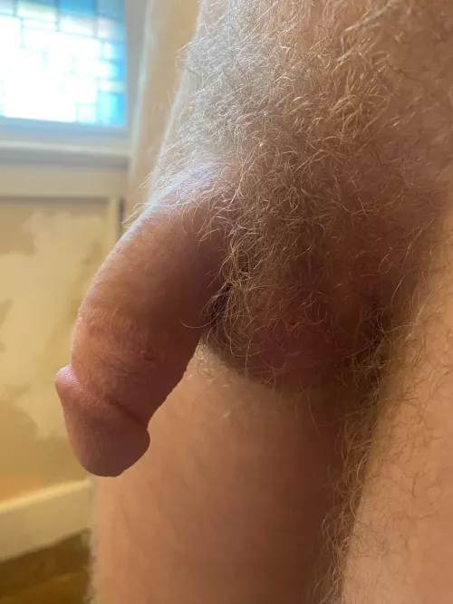 [23M] Should I trim my pubes, or let them grow?