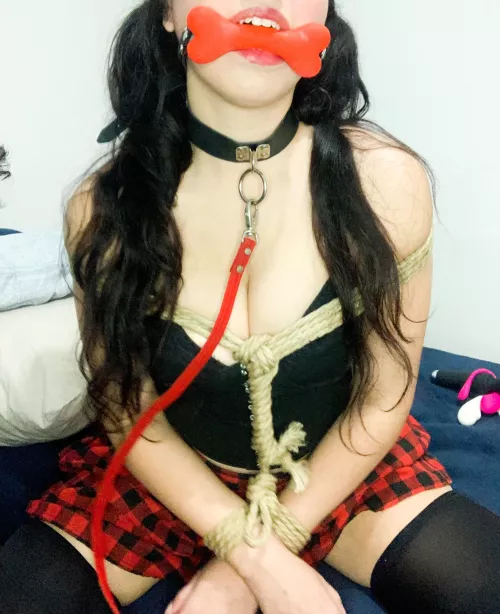 Hey Master, I don’t like this game! let me go, I wanna play! 🐶