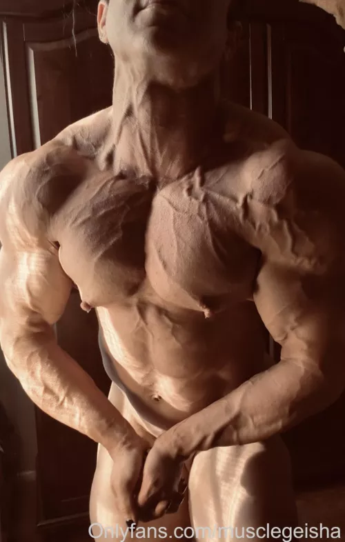 MuscleGeisha Most Muscular