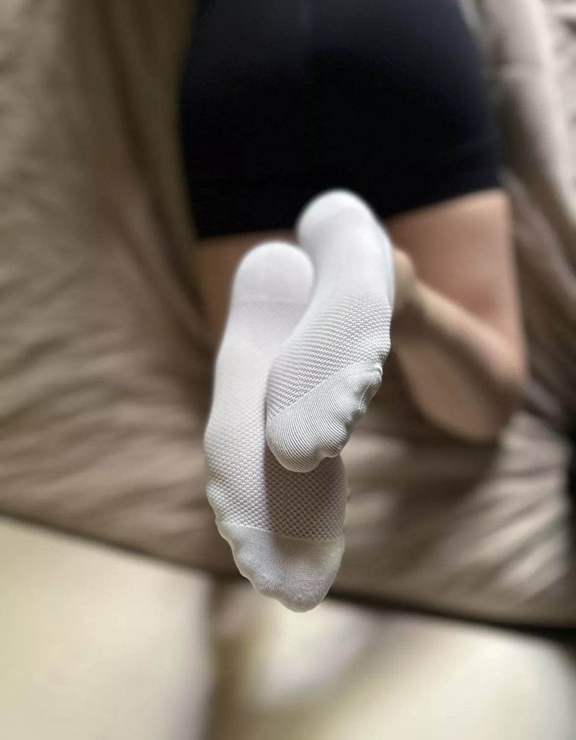 stop staring & sniff them already [f]