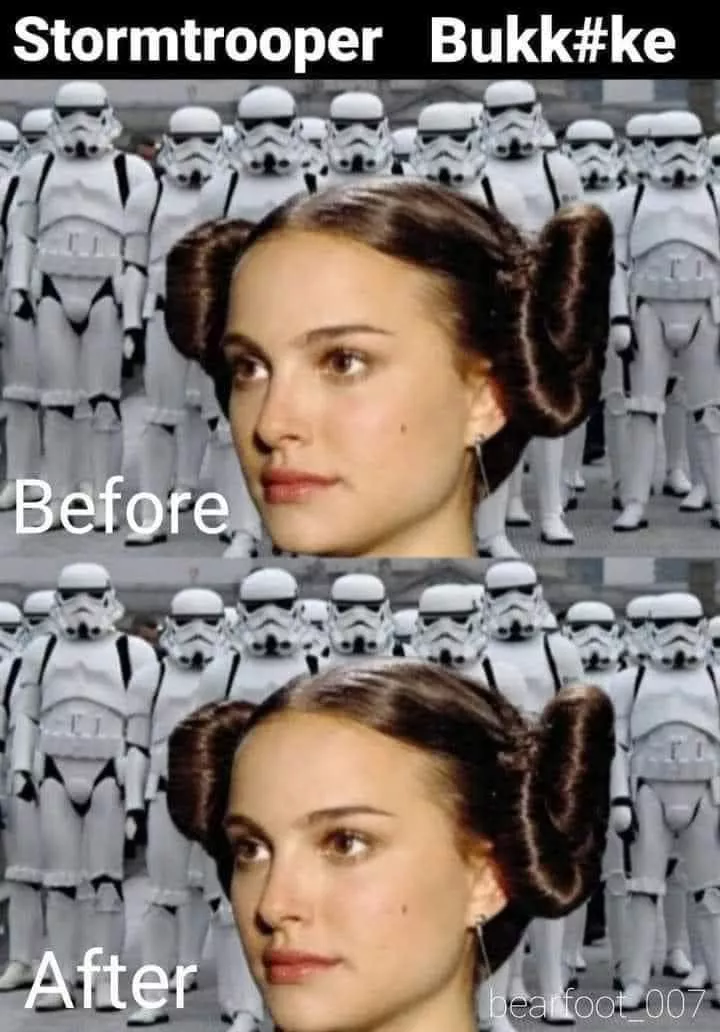 The 501st had one job… (bearfoot_007)