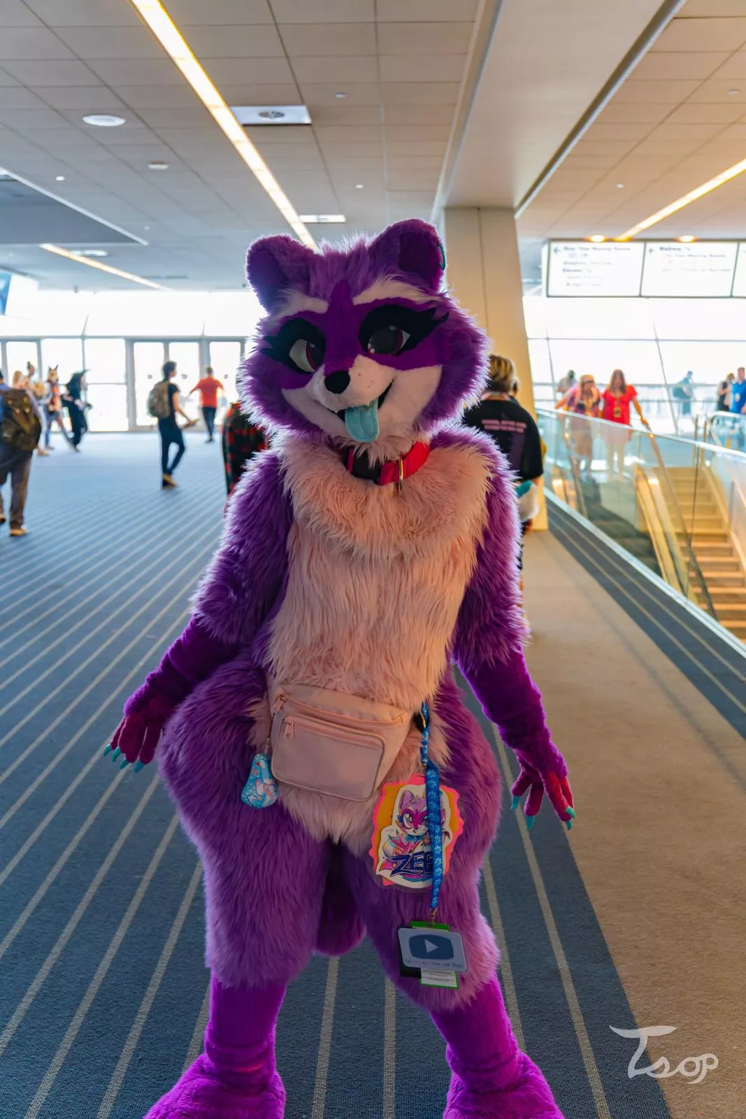 Who Is Your Fursuit Crush? Mine Is Zee The Raccoon.