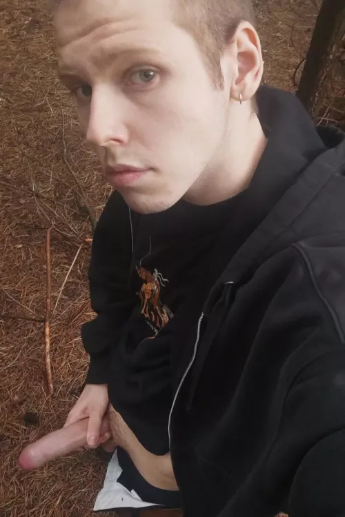 Who wants to go to forest with me?