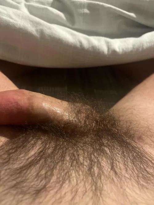 30. Usa. Dad. Horny. Looking for fun. Add me. Equestrianman