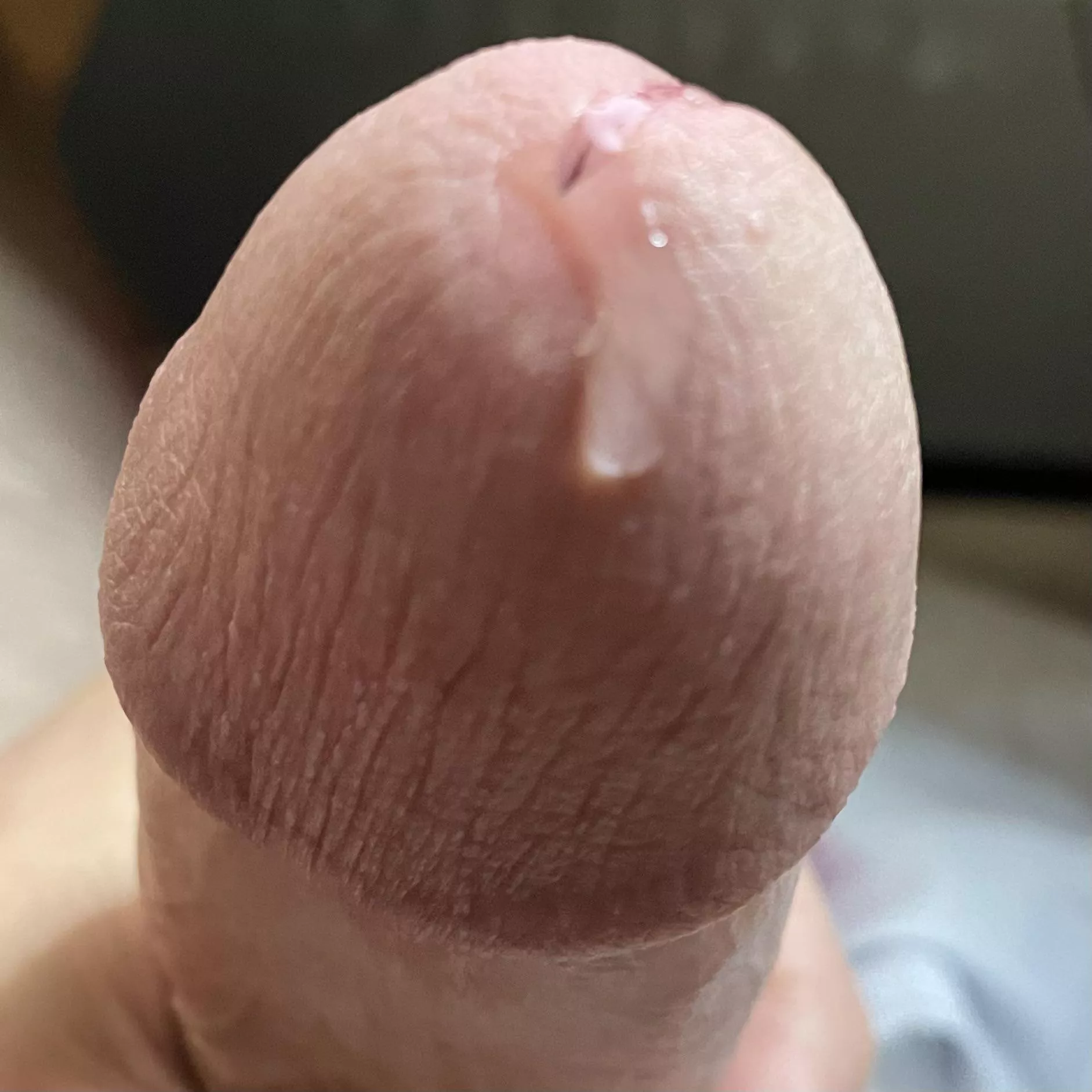 A nice close up view.