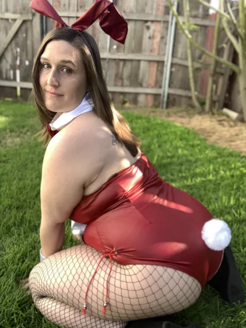 Come see my rabbit holes!