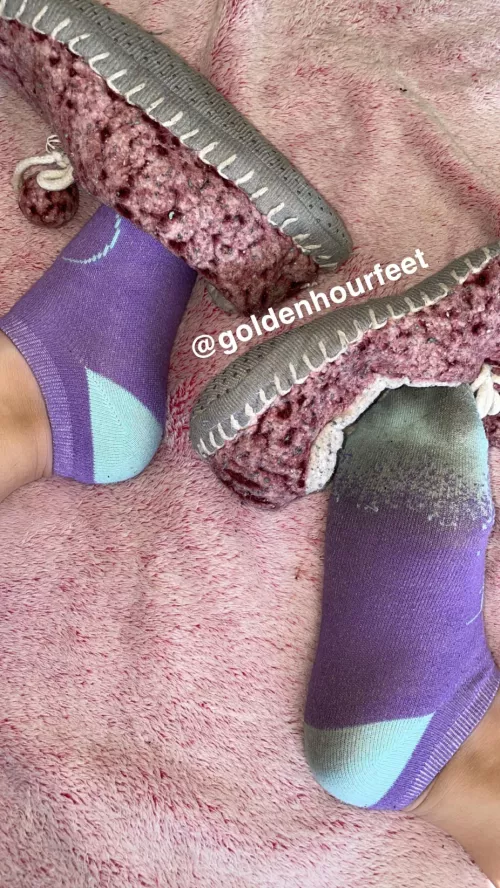 Dm to claim the smelly slippers I’ve been wearing for months now😈 *usa only*