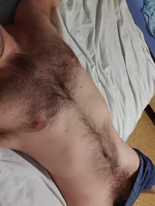 Do you want rub your hands on my fur?