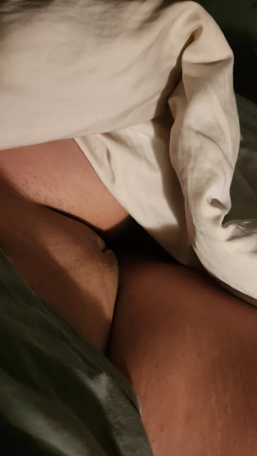 Freshly smooth kitty