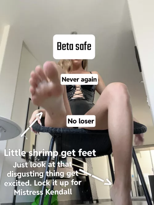 Learn your place loser