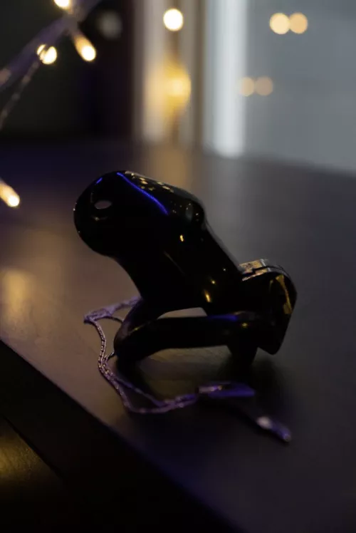 My prison for the next week..