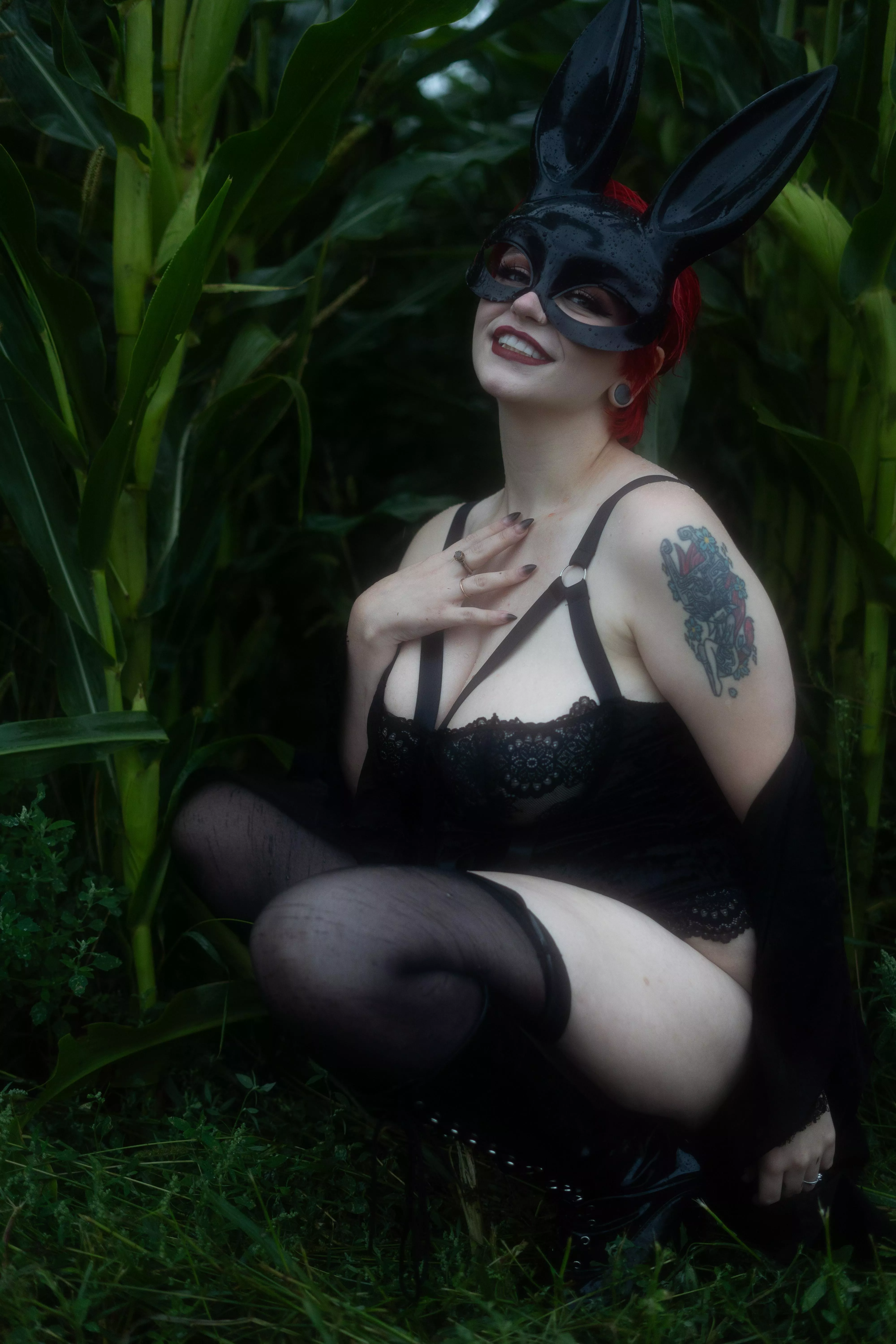 Wanna come chase this bunny through the corn?