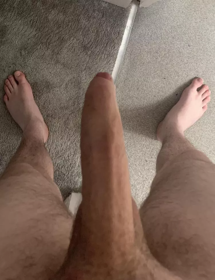 What would you do with it?