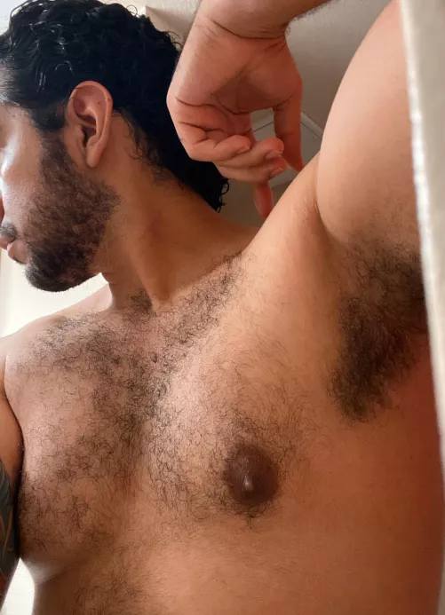 Would look better with your face stuffed in there