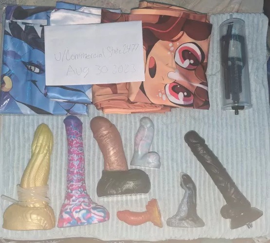 Wts dildos and body pillows