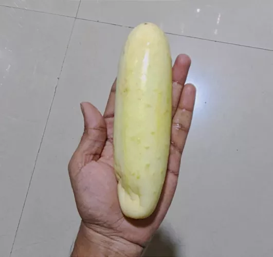 [18M] Gonna use this 7.5in cucumber tonight at 8pm IST. Dm if u wanna see it live 😉.
