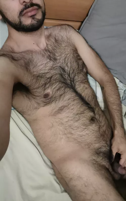 28 M LF chat or jerk off