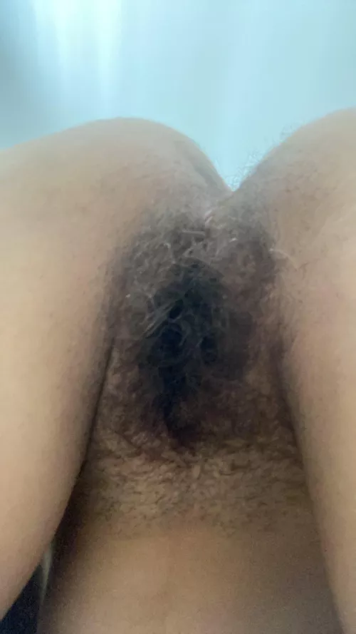 Be honest, would you really lick my [h]airy little ass?