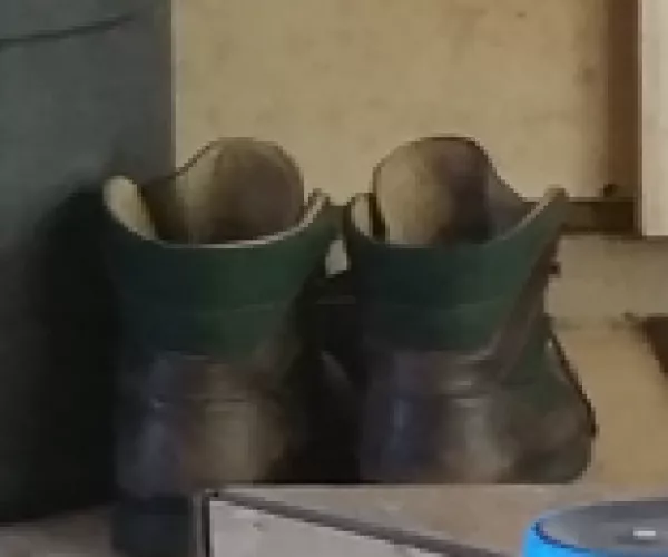 Can anybody tell what these are? I know they were bought from L.L Bean
