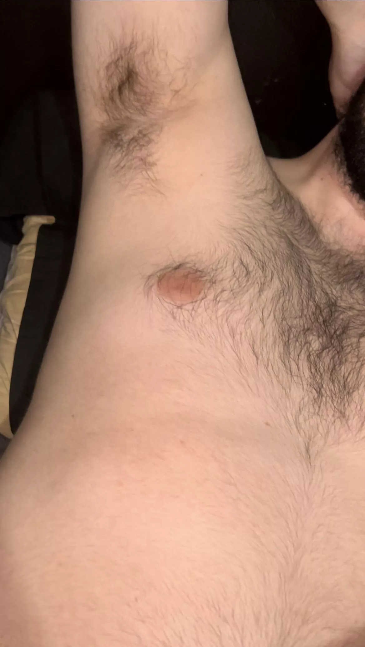 Chest hair, armpit and a bit of beard too for you🌲😈 Dms open 💪🏼