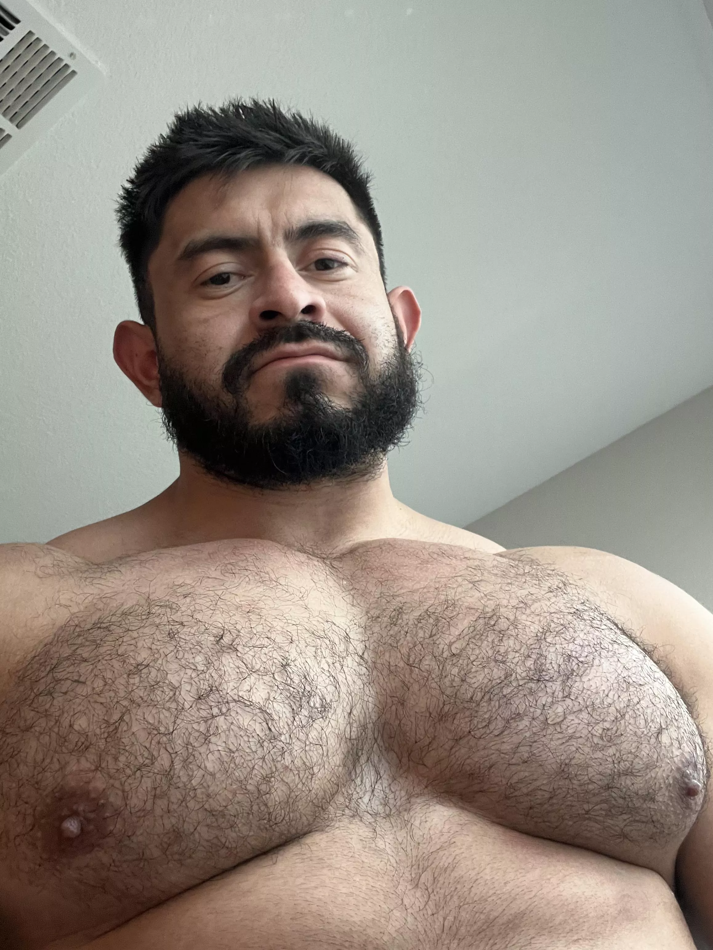 Goal is to cover this whole chest with hair. :)