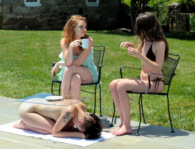 I want My home to be a paradise for My Friends. Any two guests that I have over are assigned at least one slave between Them to ensure maximum comort. This often means slaves become portable furniture. What furiniture forms are Your slaves trained in?