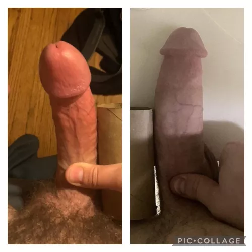 Reddit, can y’all decide a winner?