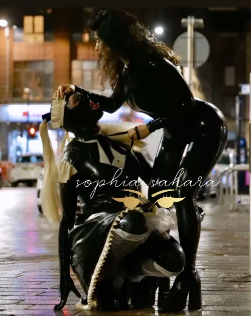 So shiny, my little bitch.