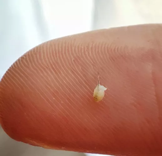 That one came out rather nicely.