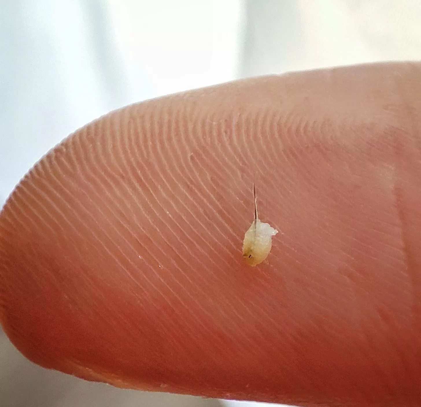 That one came out rather nicely.