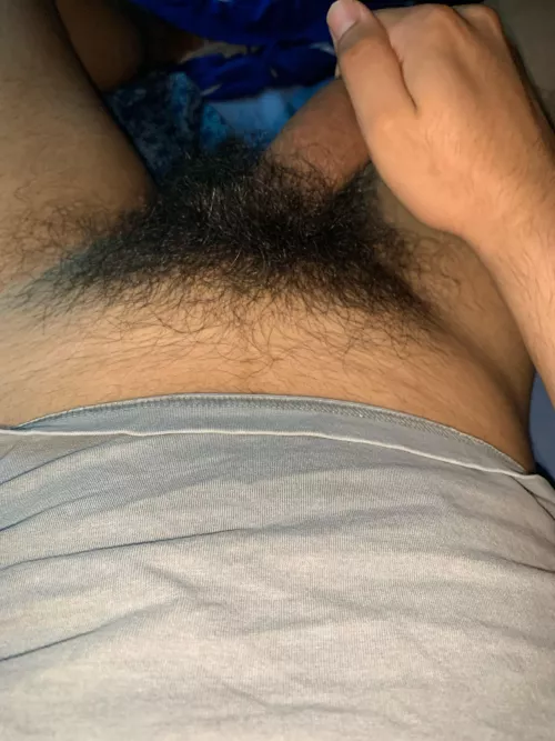 Who has a big bush too ?