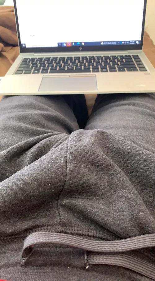 working from home but it just wants out