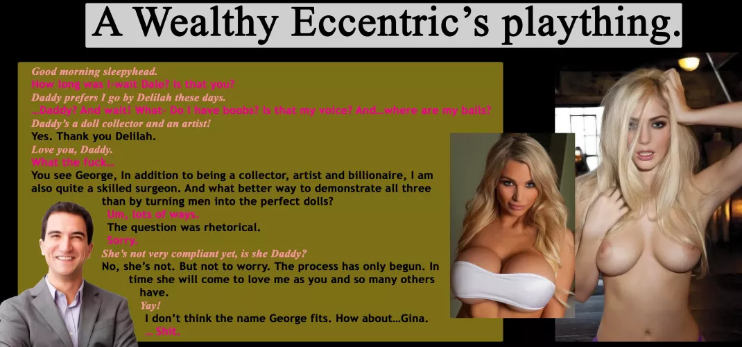 A Wealthy Eccentric's plaything. (pseudo-realism, unwilling)