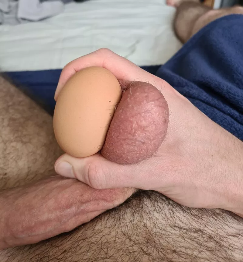 eggs for breakfast?