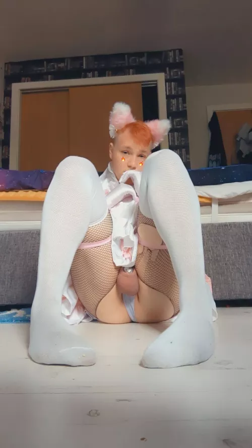 I feel so complete with my cage!