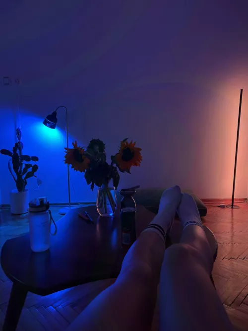 I'm shy until we start fucking.