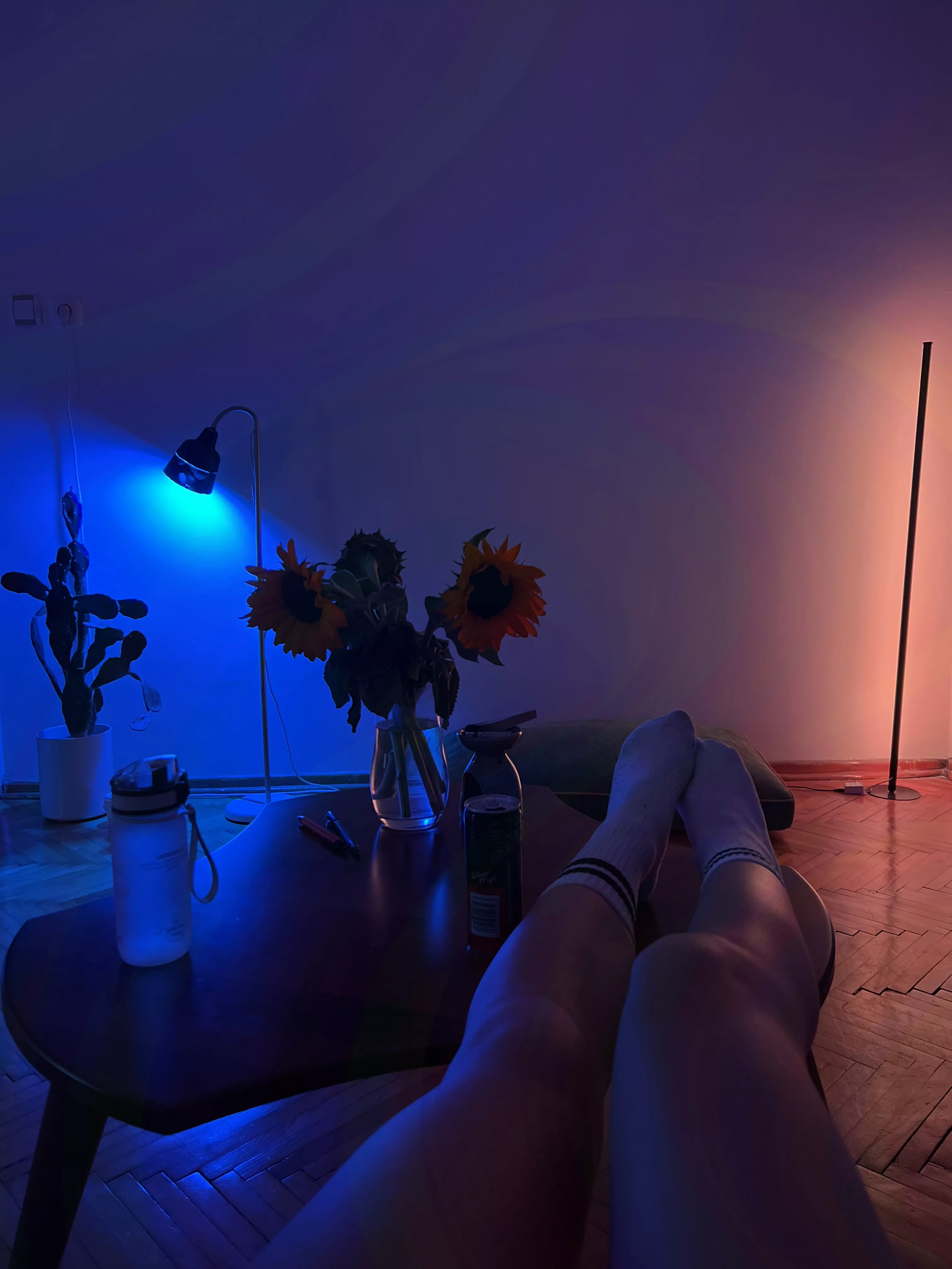 I'm shy until we start fucking.