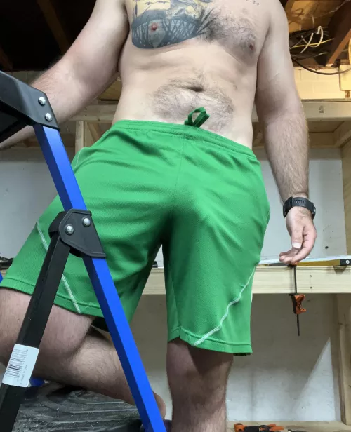 Steady the ladder for me?