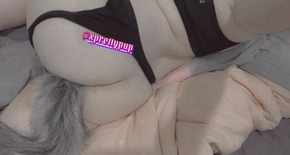 Dose this puppy get a bone~