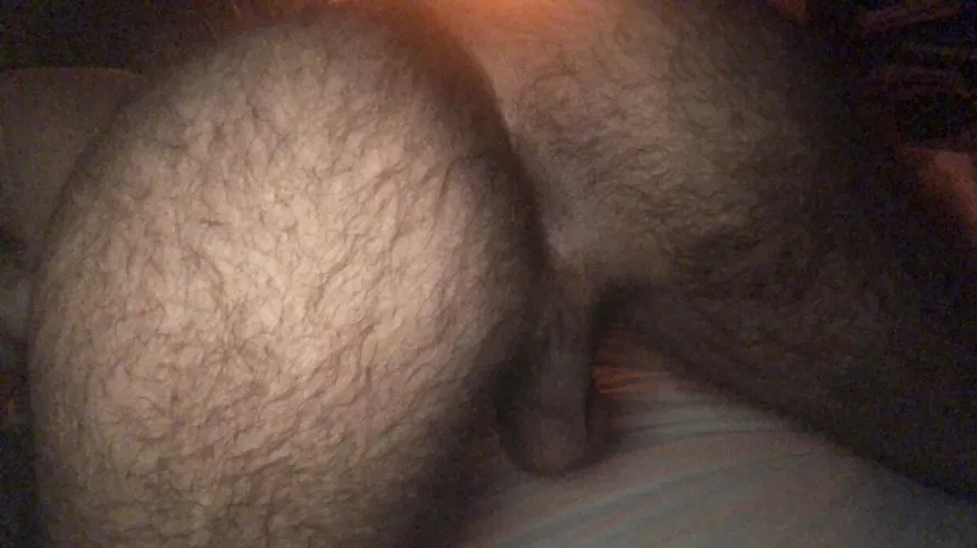 Fall is almost here, use my fur to keep warm?