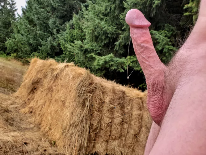 Just imagining bending someone over this haybale