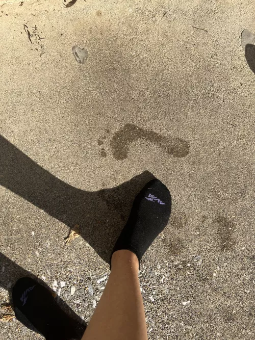 Morning at the farm 🤭