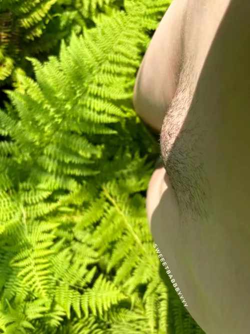 Thinking of growing my bush out:)