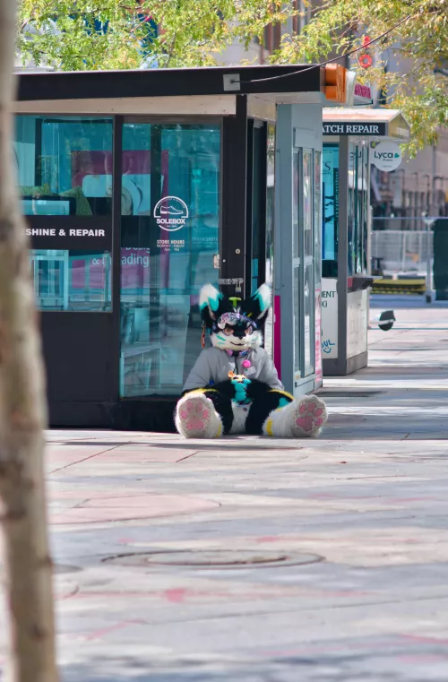 Beans beans beans beans beans